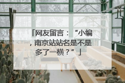 网友留言：“小编，南京站站名是不是多了一横？”