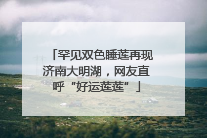 罕见双色睡莲再现济南大明湖，网友直呼“好运莲莲”