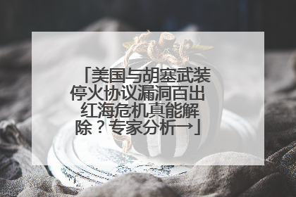 美国与胡塞武装停火协议漏洞百出 红海危机真能解除？专家分析→