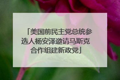 美国前民主党总统参选人杨安泽邀请马斯克合作组建新政党