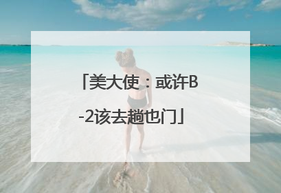 美大使：或许B-2该去趟也门