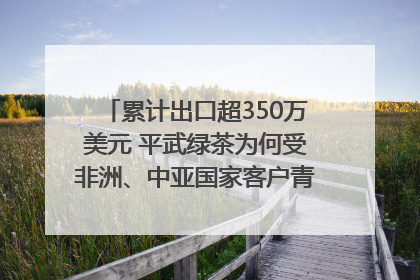 累计出口超350万美元 平武绿茶为何受非洲、中亚国家客户青睐？｜发布会观察