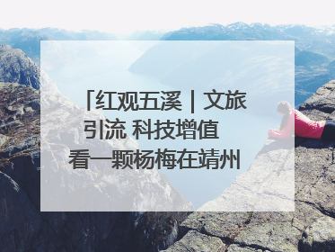 红观五溪｜文旅引流 科技增值 看一颗杨梅在靖州的“商业觉醒”