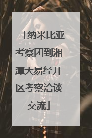 纳米比亚考察团到湘潭天易经开区考察洽谈交流