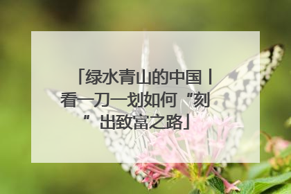 绿水青山的中国丨看一刀一划如何“刻”出致富之路