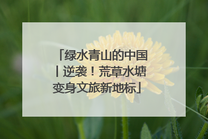 绿水青山的中国丨逆袭！荒草水塘变身文旅新地标