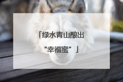 绿水青山酿出“幸福蜜”