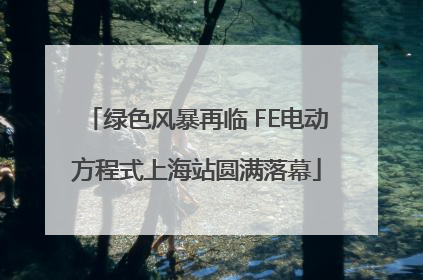 绿色风暴再临 FE电动方程式上海站圆满落幕