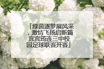 绿茵逐梦展风采，激情飞扬启新篇 宜宾筠连三中校园足球联赛开赛