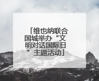 维也纳联合国城举办“文明对话国际日”主题活动