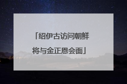 绍伊古访问朝鲜 将与金正恩会面