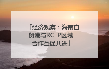 经济观察：海南自贸港与RCEP区域合作互促共进