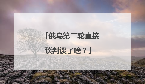 俄乌第二轮直接谈判谈了啥？