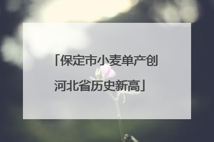 保定市小麦单产创河北省历史新高