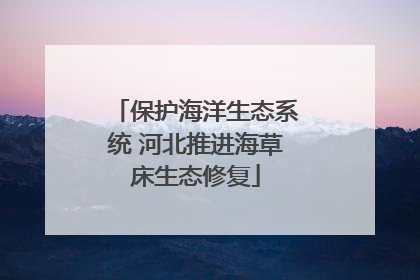 保护海洋生态系统 河北推进海草床生态修复