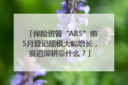 保险资管“ABS”前5月登记规模大幅增长，赛道深耕靠什么？