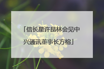 信长星许昆林会见中兴通讯董事长方榕