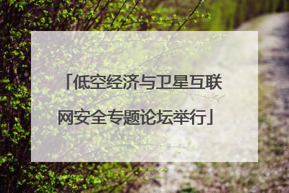 低空经济与卫星互联网安全专题论坛举行