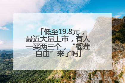 低至19.8元，最近大量上市，有人一买两三个，“榴莲自由”来了吗