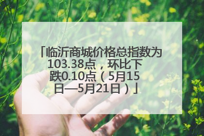 临沂商城价格总指数为103.38点，环比下跌0.10点（5月15日—5月21日）