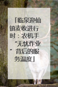 临泉迎仙镇麦收进行时：农机手“无忧作业”背后的服务温度
