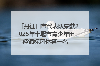 丹江口市代表队荣获2025年十堰市青少年田径锦标团体第一名