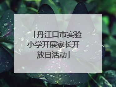 丹江口市实验小学开展家长开放日活动