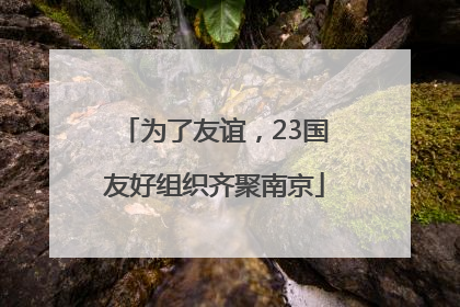 为了友谊，23国友好组织齐聚南京