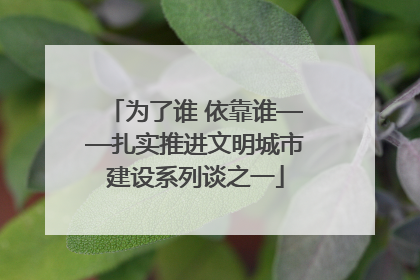 为了谁 依靠谁——扎实推进文明城市建设系列谈之一