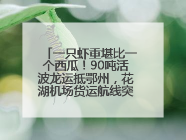 一只虾重堪比一个西瓜！90吨活波龙运抵鄂州，花湖机场货运航线突破100条