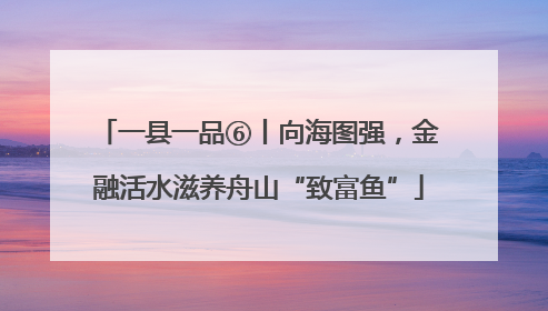 一县一品⑥丨向海图强，金融活水滋养舟山“致富鱼”