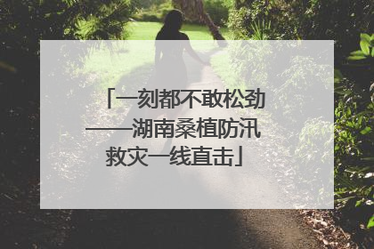 一刻都不敢松劲——湖南桑植防汛救灾一线直击