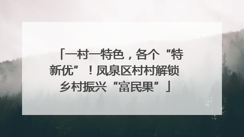 一村一特色，各个“特新优”！凤泉区村村解锁乡村振兴“富民果”