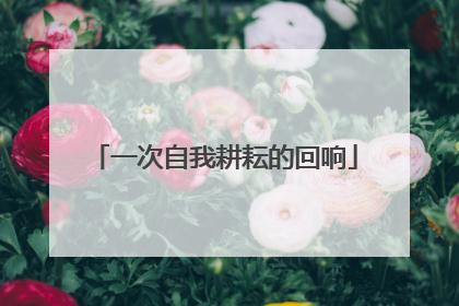一次自我耕耘的回响