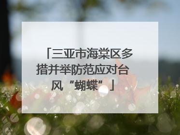三亚市海棠区多措并举防范应对台风“蝴蝶”