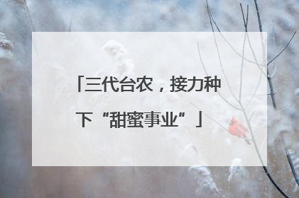 三代台农，接力种下“甜蜜事业”