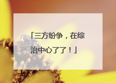三方纷争，在综治中心了了！