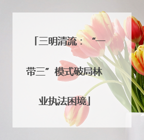三明清流：“一带三”模式破局林业执法困境