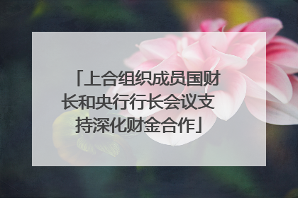 上合组织成员国财长和央行行长会议支持深化财金合作