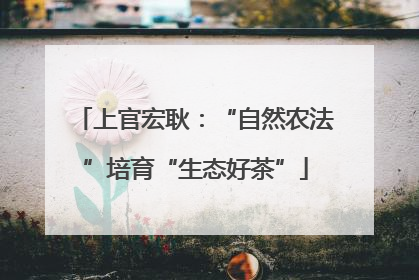 上官宏耿：“自然农法”培育“生态好茶”