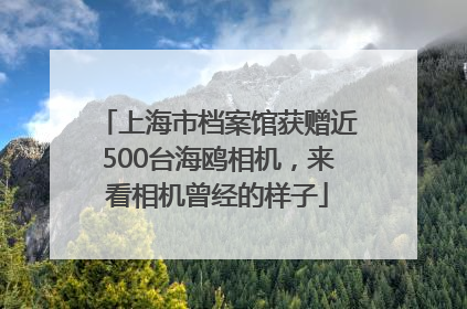 上海市档案馆获赠近500台海鸥相机，来看相机曾经的样子