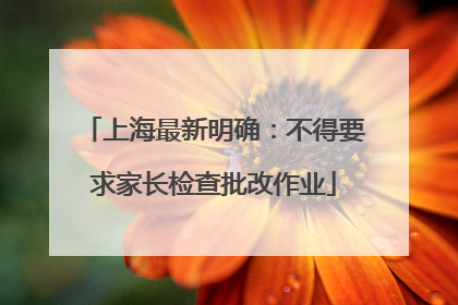 上海最新明确：不得要求家长检查批改作业
