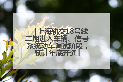 上海轨交18号线二期进入车辆、信号系统动车调试阶段，预计年底开通
