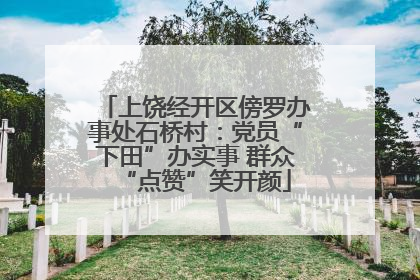 上饶经开区傍罗办事处石桥村：党员“下田”办实事 群众“点赞”笑开颜