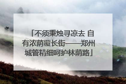 不须秉烛寻凉去 自有浓荫覆长街——郑州城管精细呵护林荫路