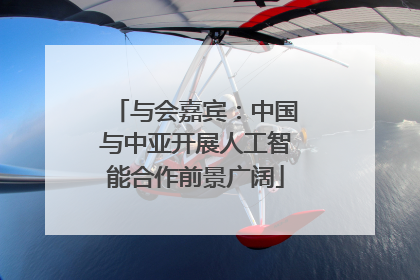 与会嘉宾：中国与中亚开展人工智能合作前景广阔