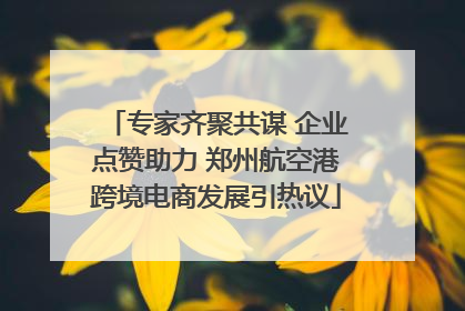 专家齐聚共谋 企业点赞助力 郑州航空港跨境电商发展引热议