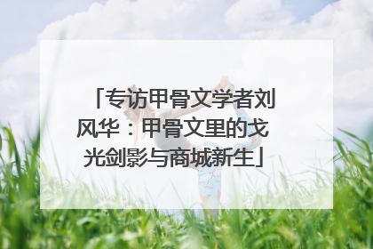 专访甲骨文学者刘风华：甲骨文里的戈光剑影与商城新生