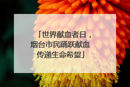 世界献血者日，烟台市民踊跃献血传递生命希望