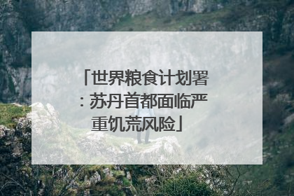 世界粮食计划署：苏丹首都面临严重饥荒风险